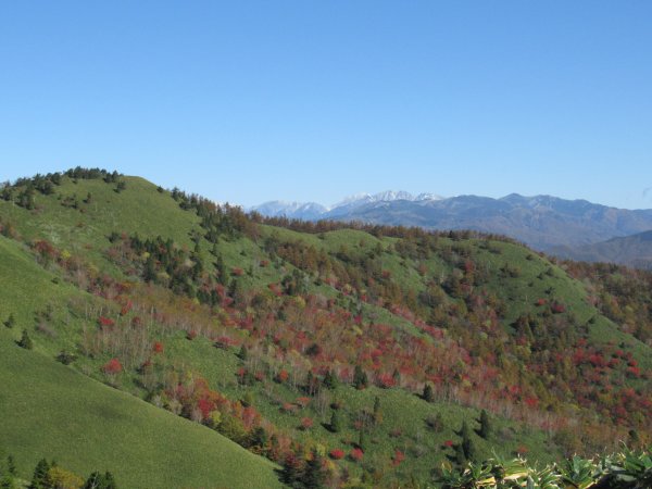 登山道
